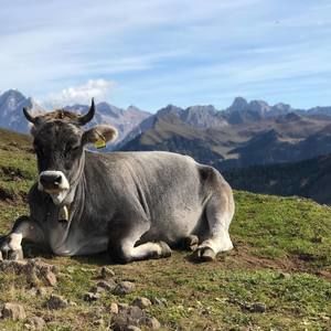 Meet your Posher, Denise